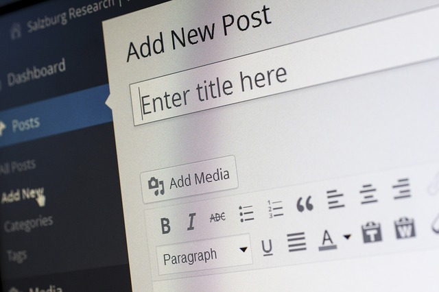 image of wordpress content management system - add new article screen shot
